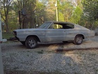 new pics 027